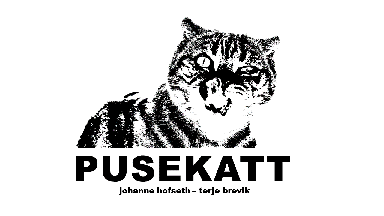 Pusekatt (NO)