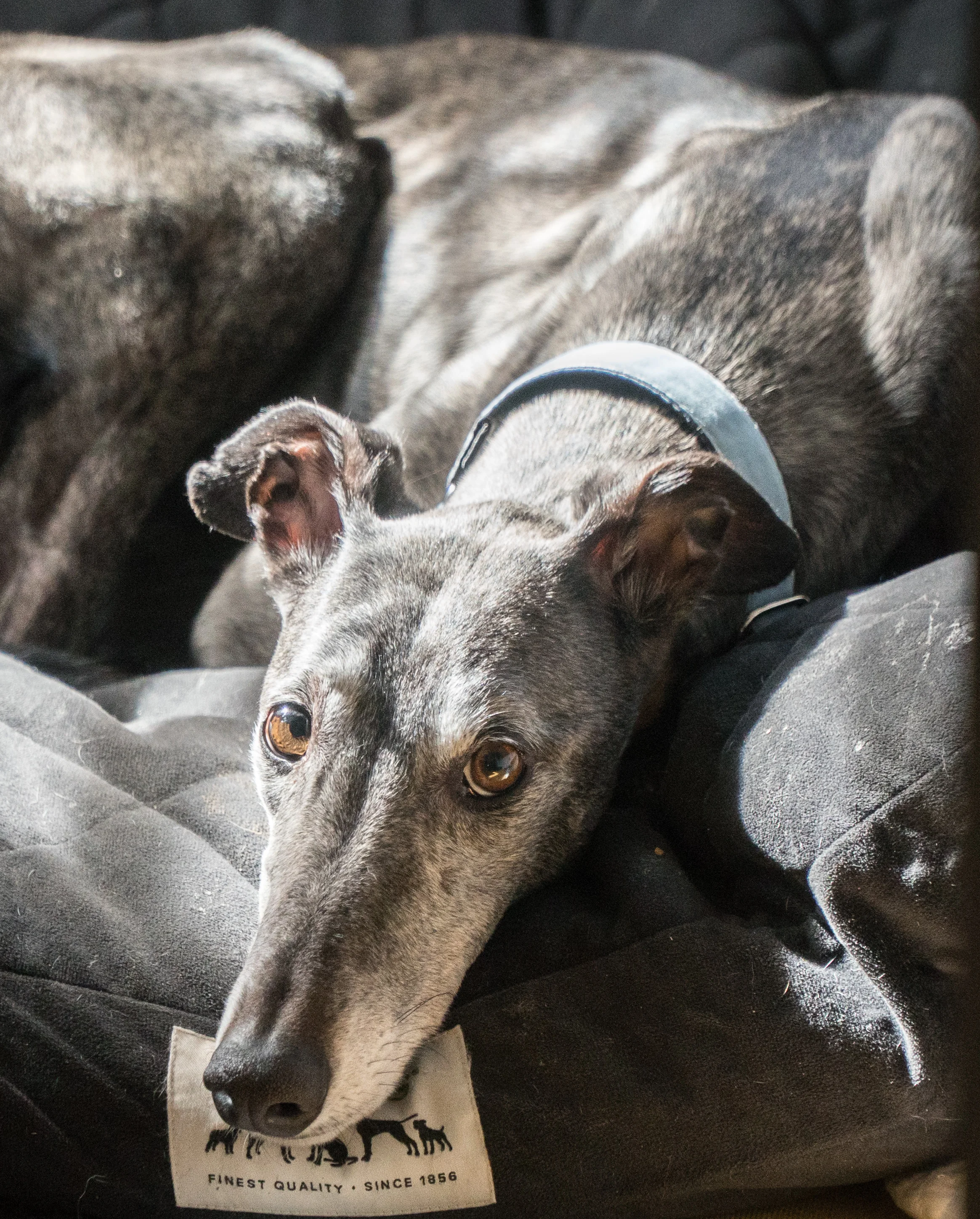 Website 2019_Gallery_Family_Row.jpg