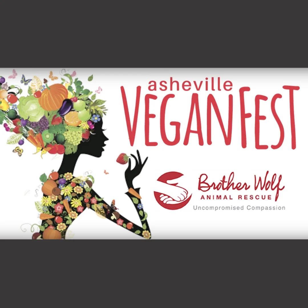 Asheville VeganFest 2017 – Q&amp;A with Eunice Wong