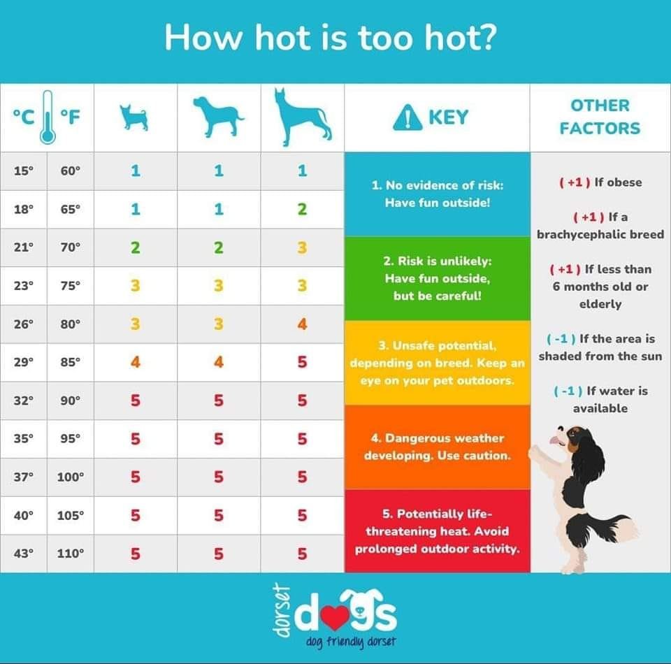 HEAT SAFETY TIPS