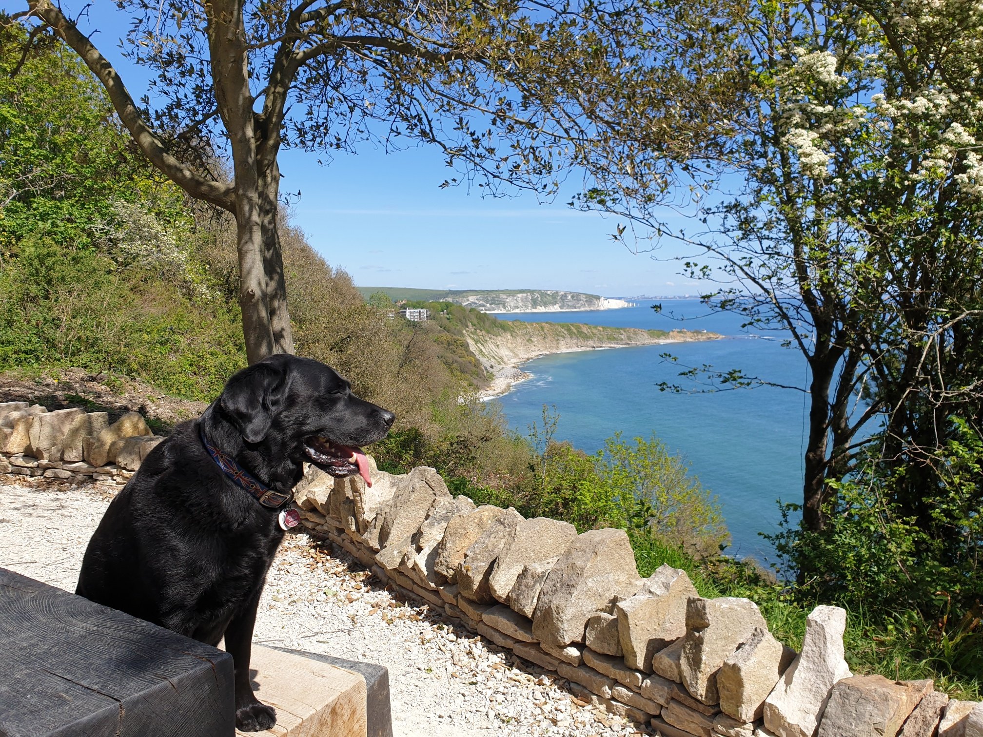 Durlston Country Park