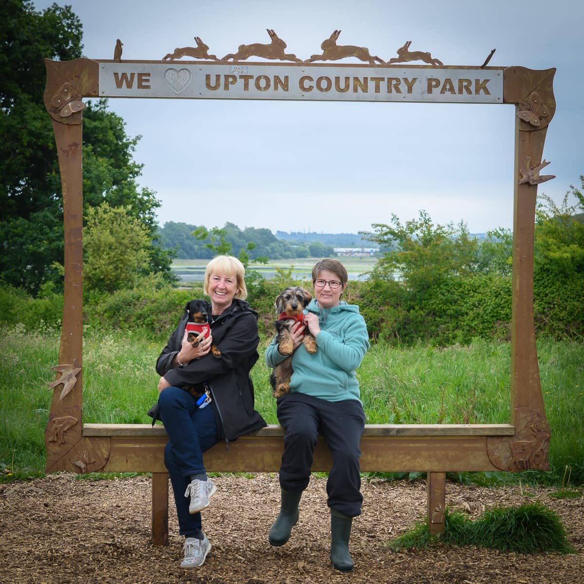 dorset-dogs-upton-country-park-sign.jpeg