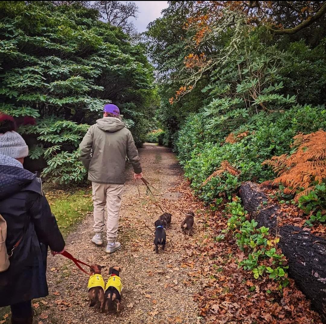 BEST DORSET WALKS