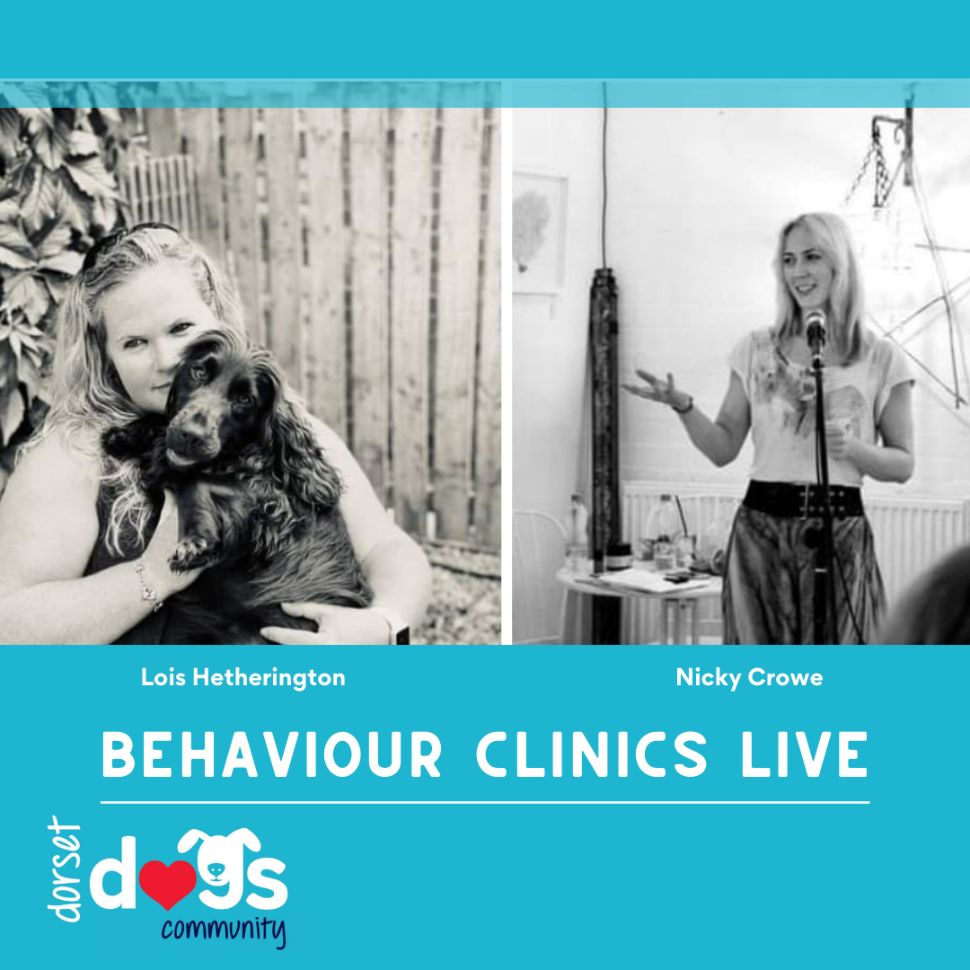 BEHAVIOUR CLINICS