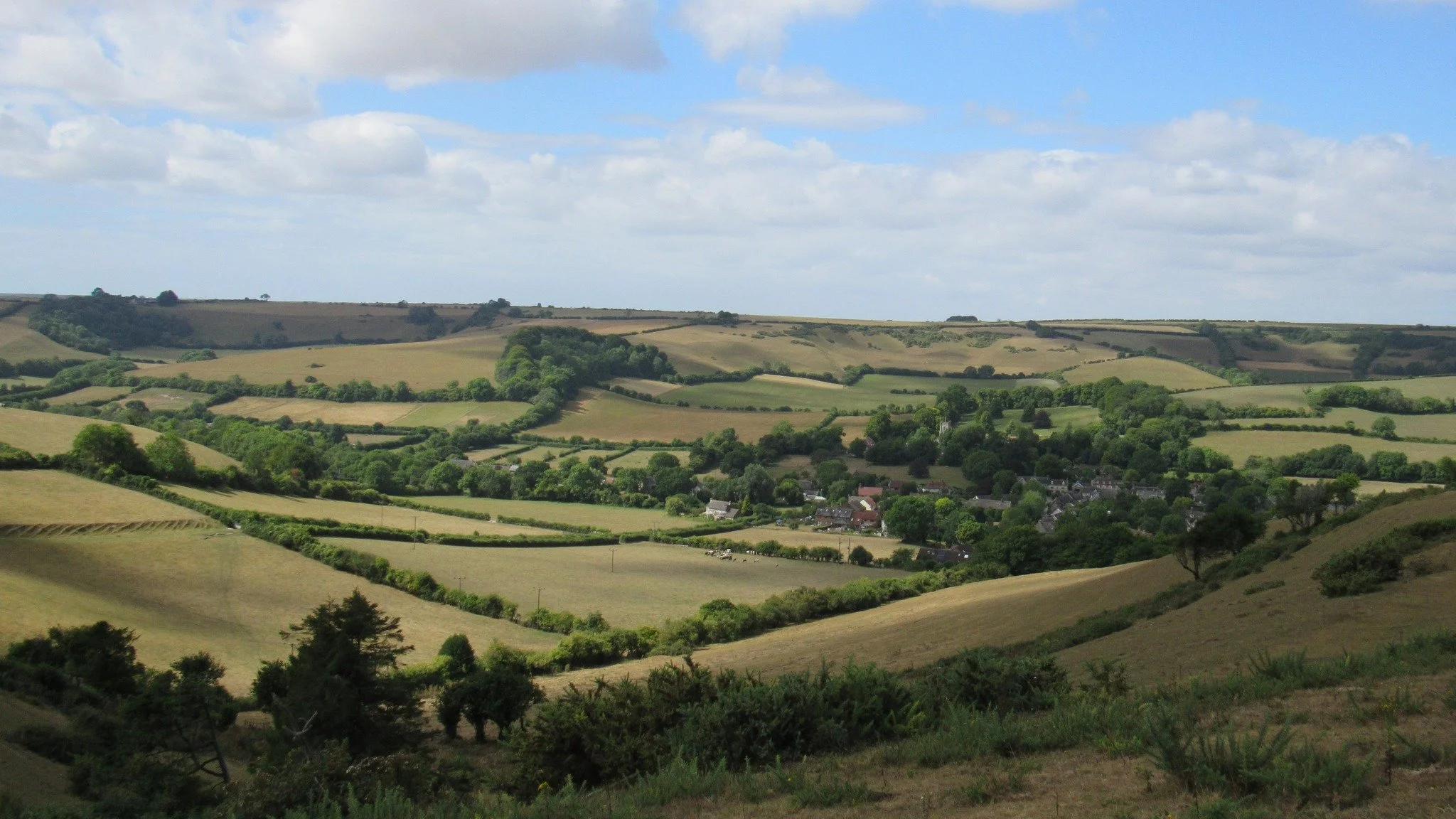 COUNTRYSIDE