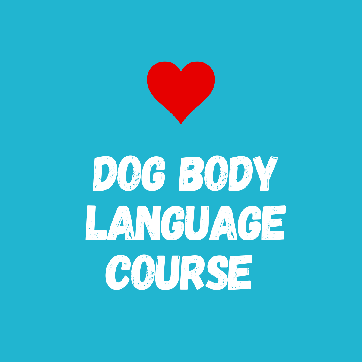 DOG BODY LANGUAGE COURSE