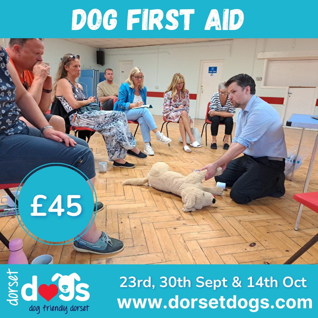 DOG FIRST AID + ADVANCED PRACTICAL