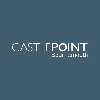 Castlepoint Logo Instagram.png