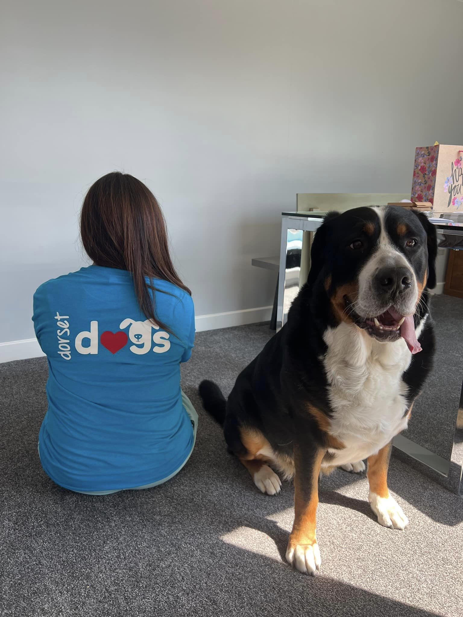 dorset-dogs-tshirts-ayshe-yogi-1.jpeg