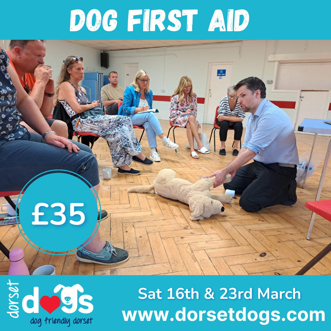 DOG FIRST AID WITH A VET