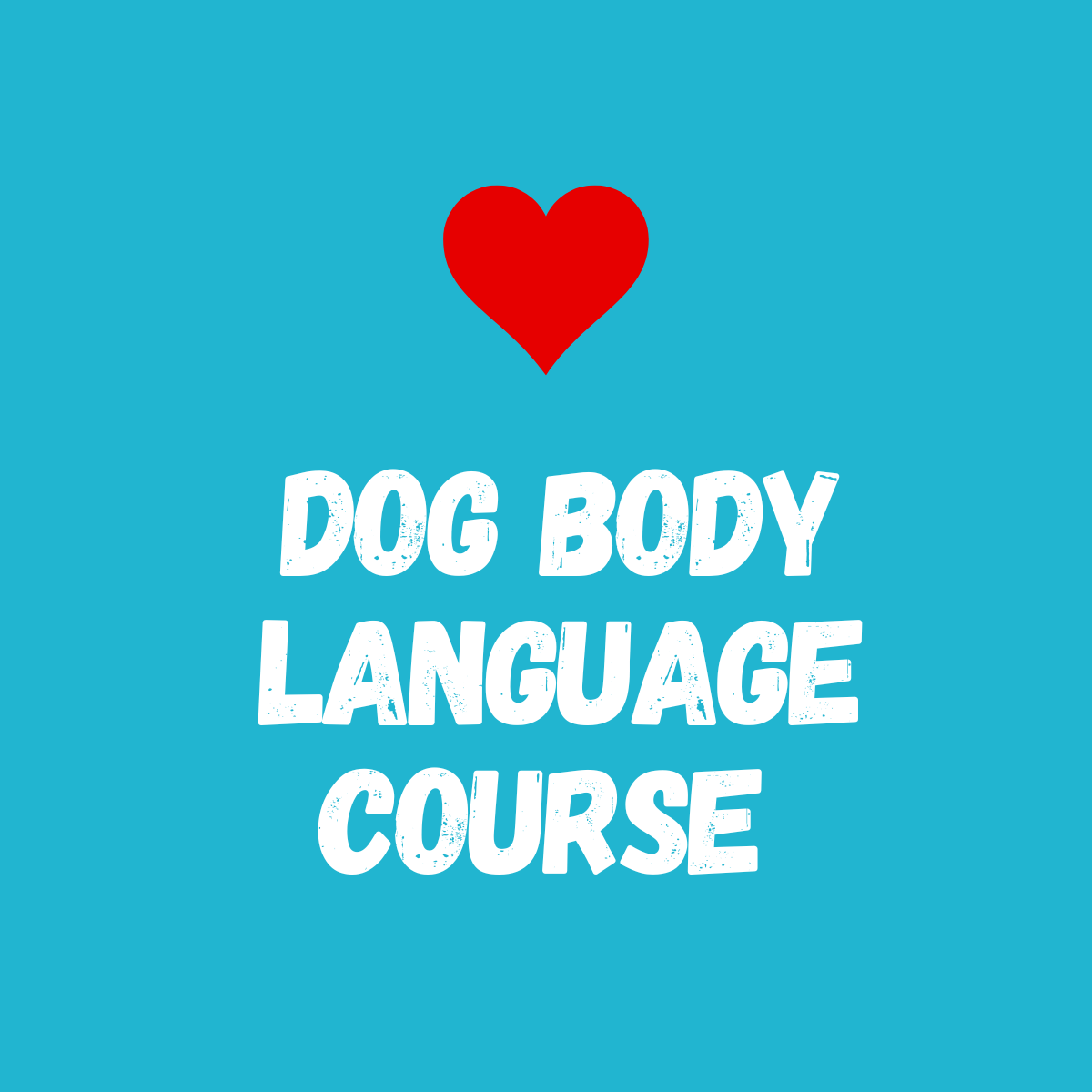 DOG BODY LANGUAGE COURSE 