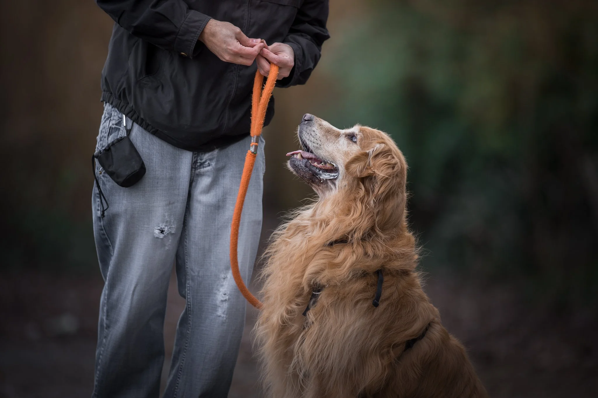 Stress Free Meet-Ups