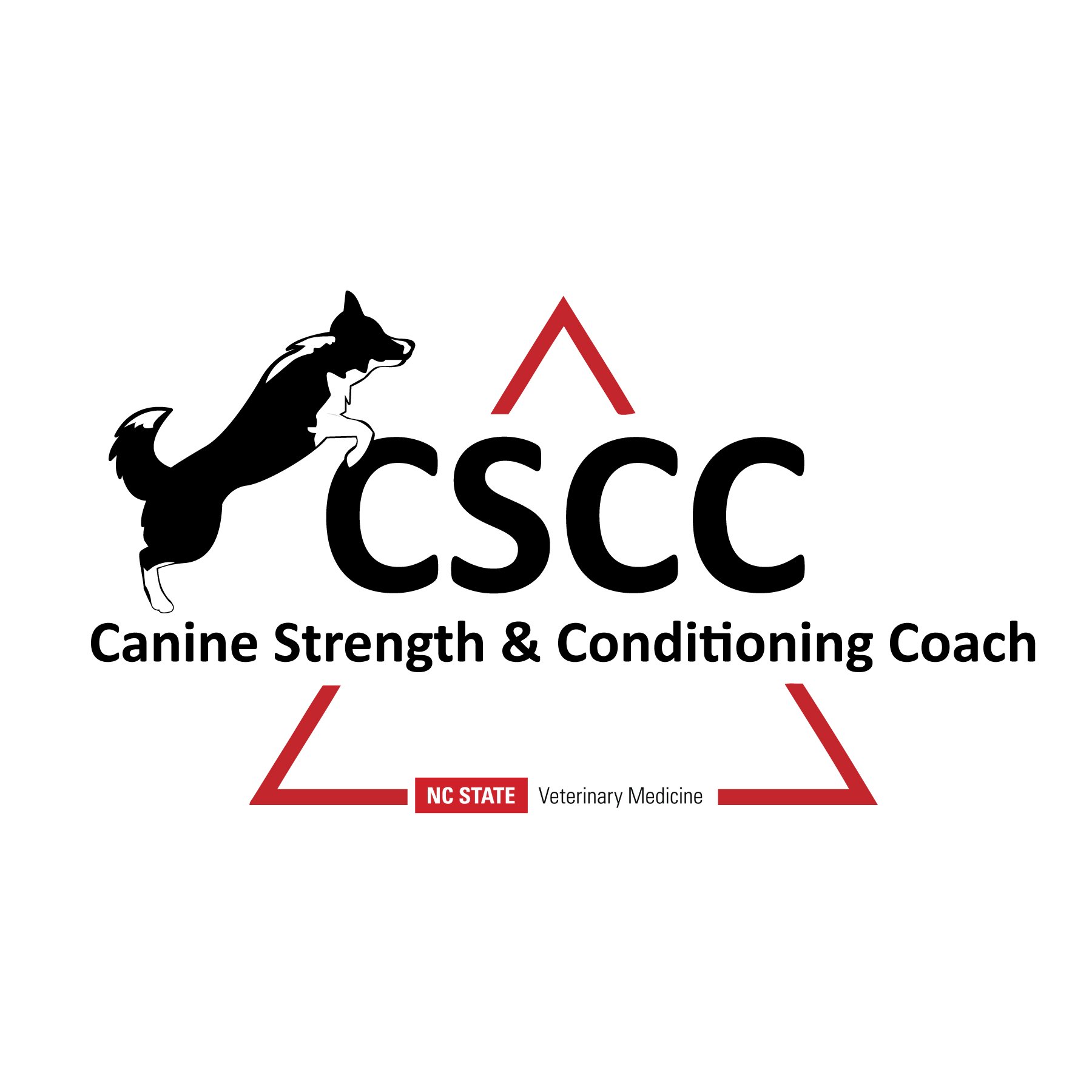 CSCC-LOGO-1800X1800 copy.jpg