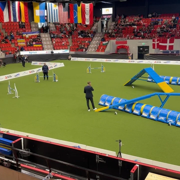 AWC 2025 🇸🇪 Intermediate Team Runs