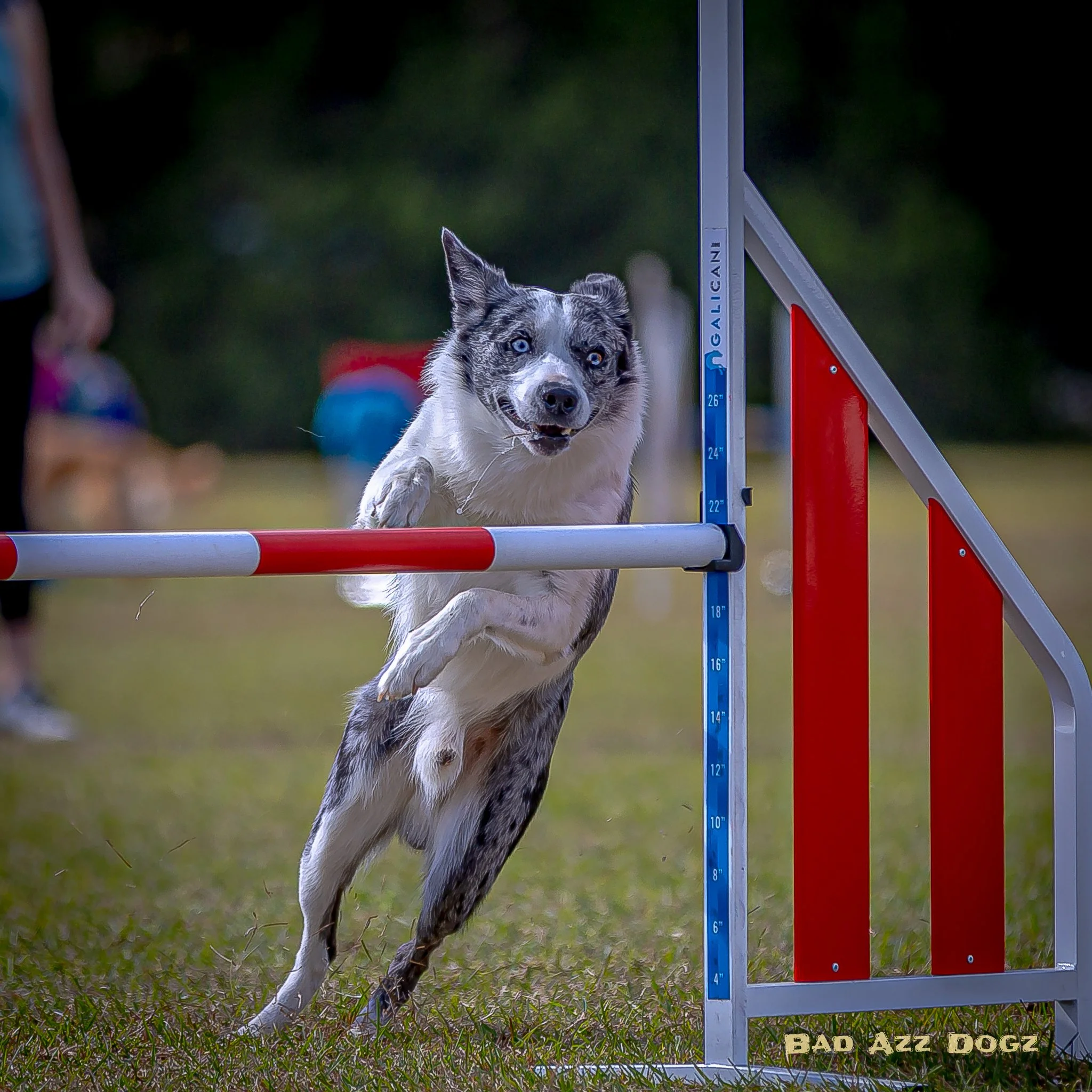 UKI-SEcup2024-FRI-f (741 of 1232).jpeg
