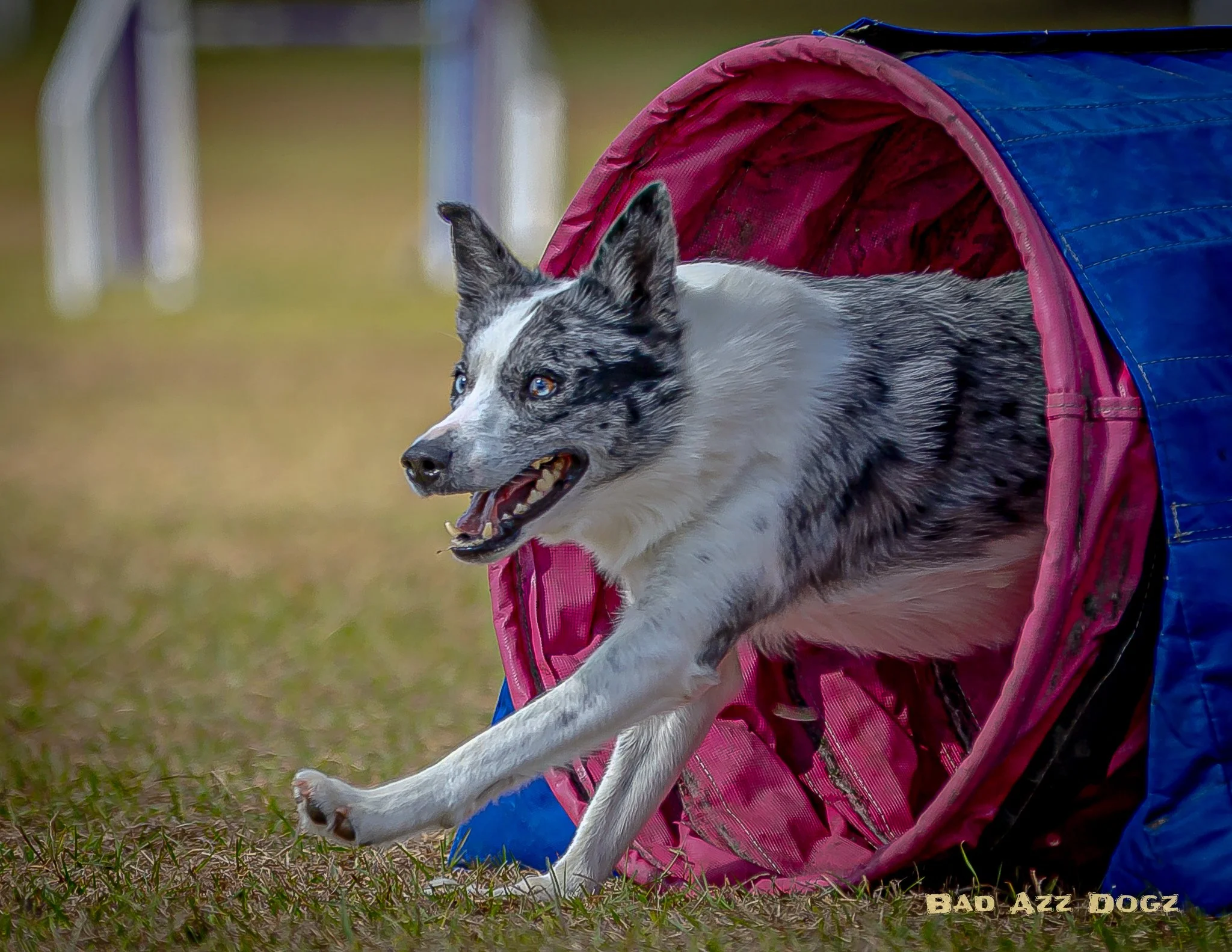 UKI-SEcup2024-FRI-f (738 of 1232).jpeg