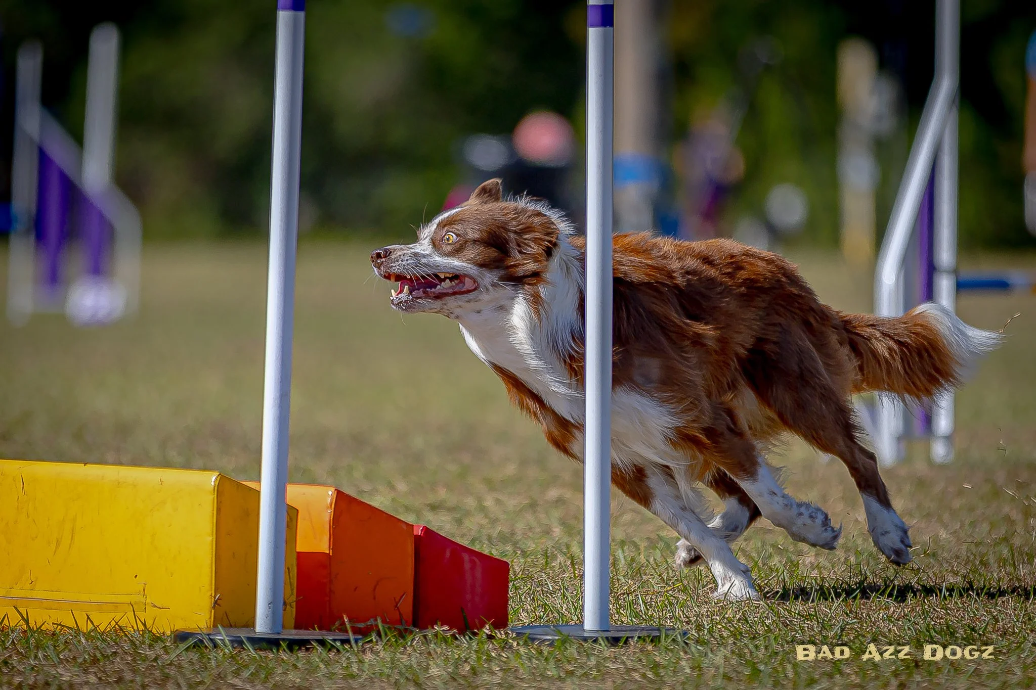UKI-SEcup2024-SAT-f (441 of 2095).jpeg