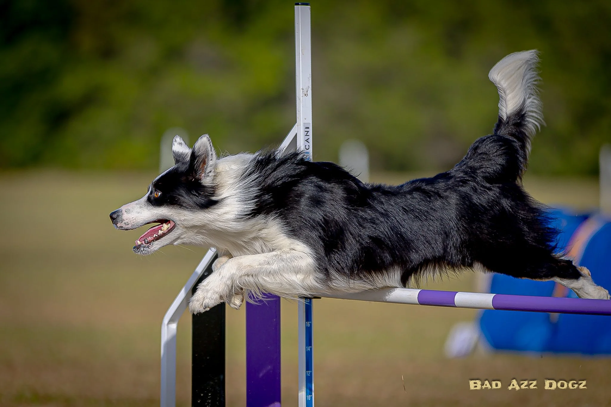 UKI-SEcup2024-SAT-f (190 of 2095).jpeg