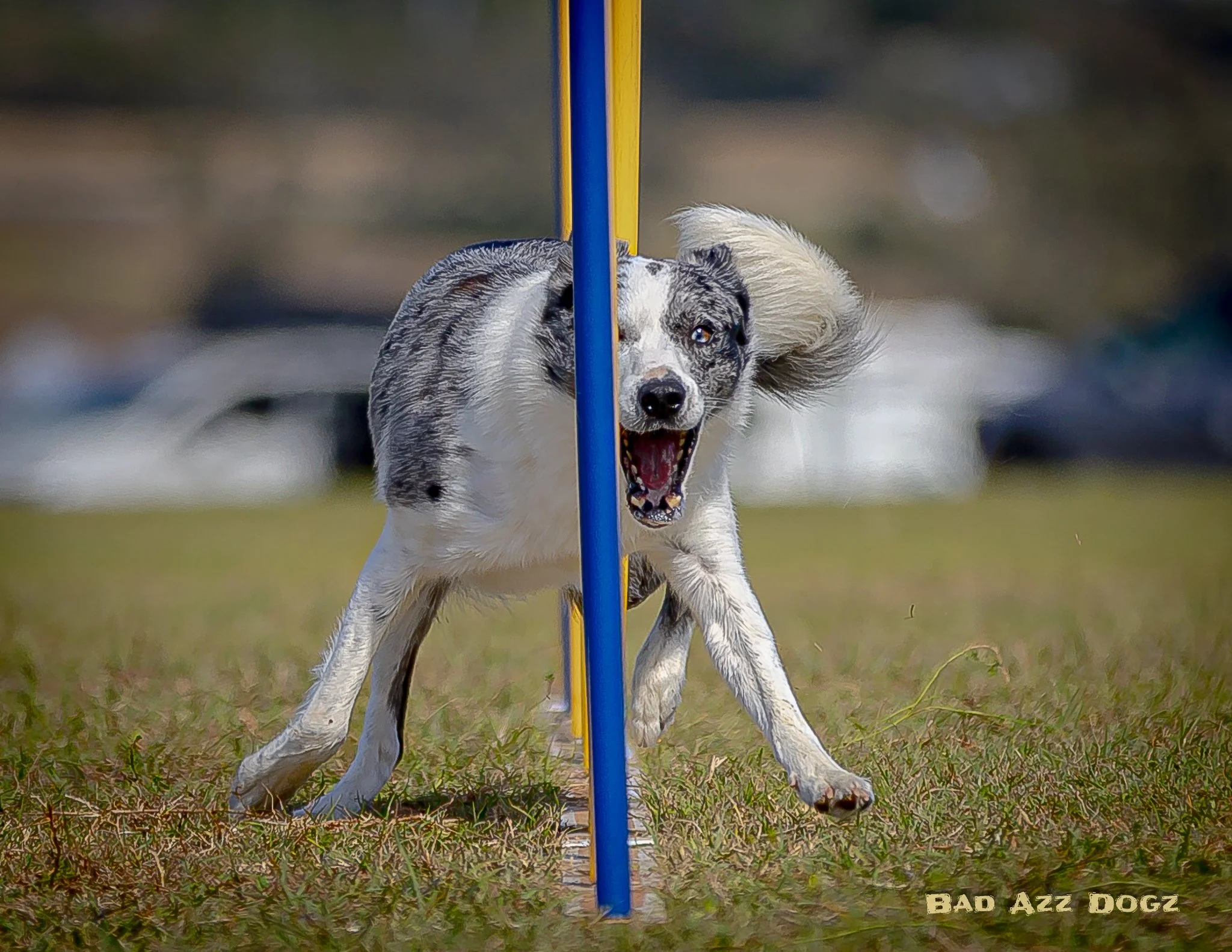 UKI-SEcup2024-SAT-f (1023 of 2095).jpeg