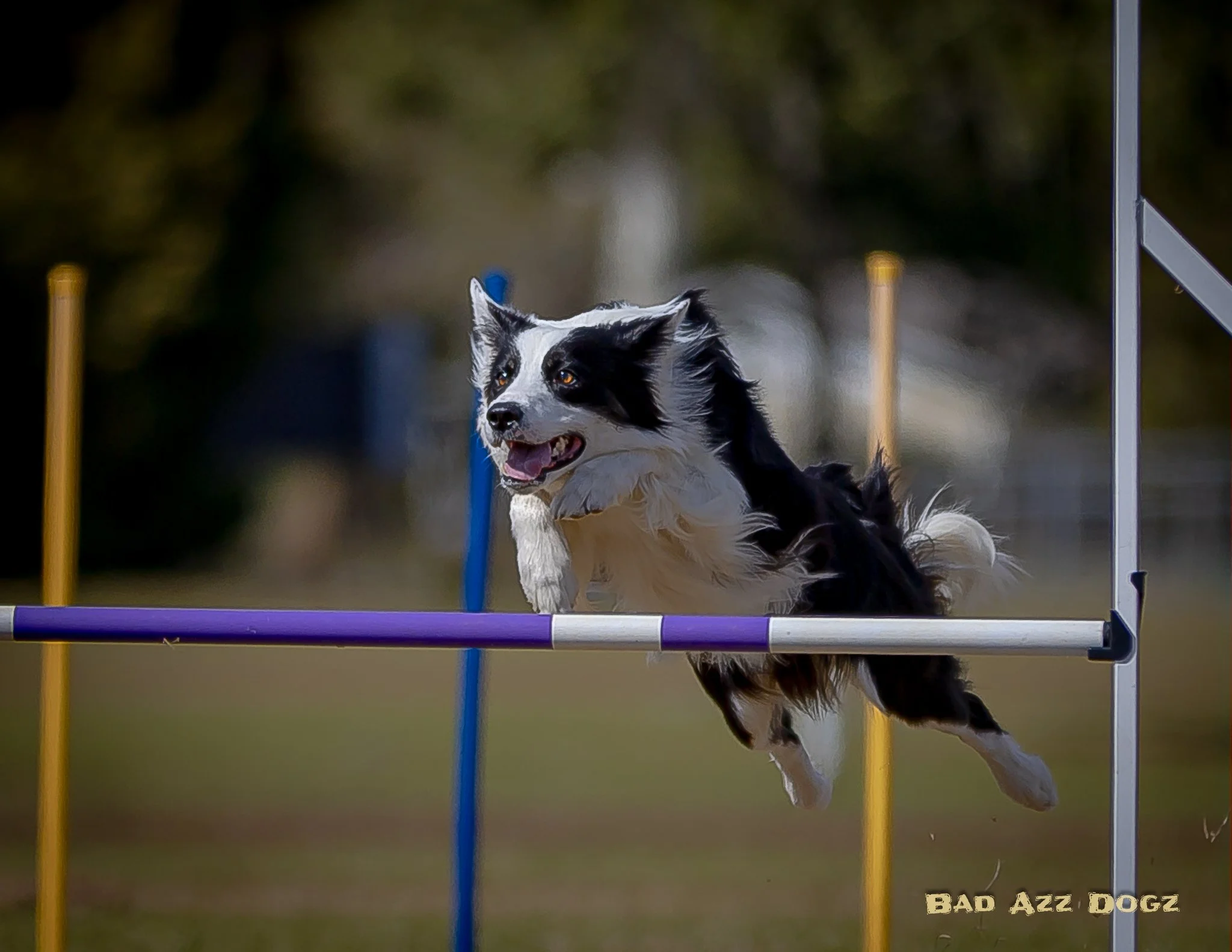 UKI-SEcup2024-SUN-f (929 of 1251).jpeg