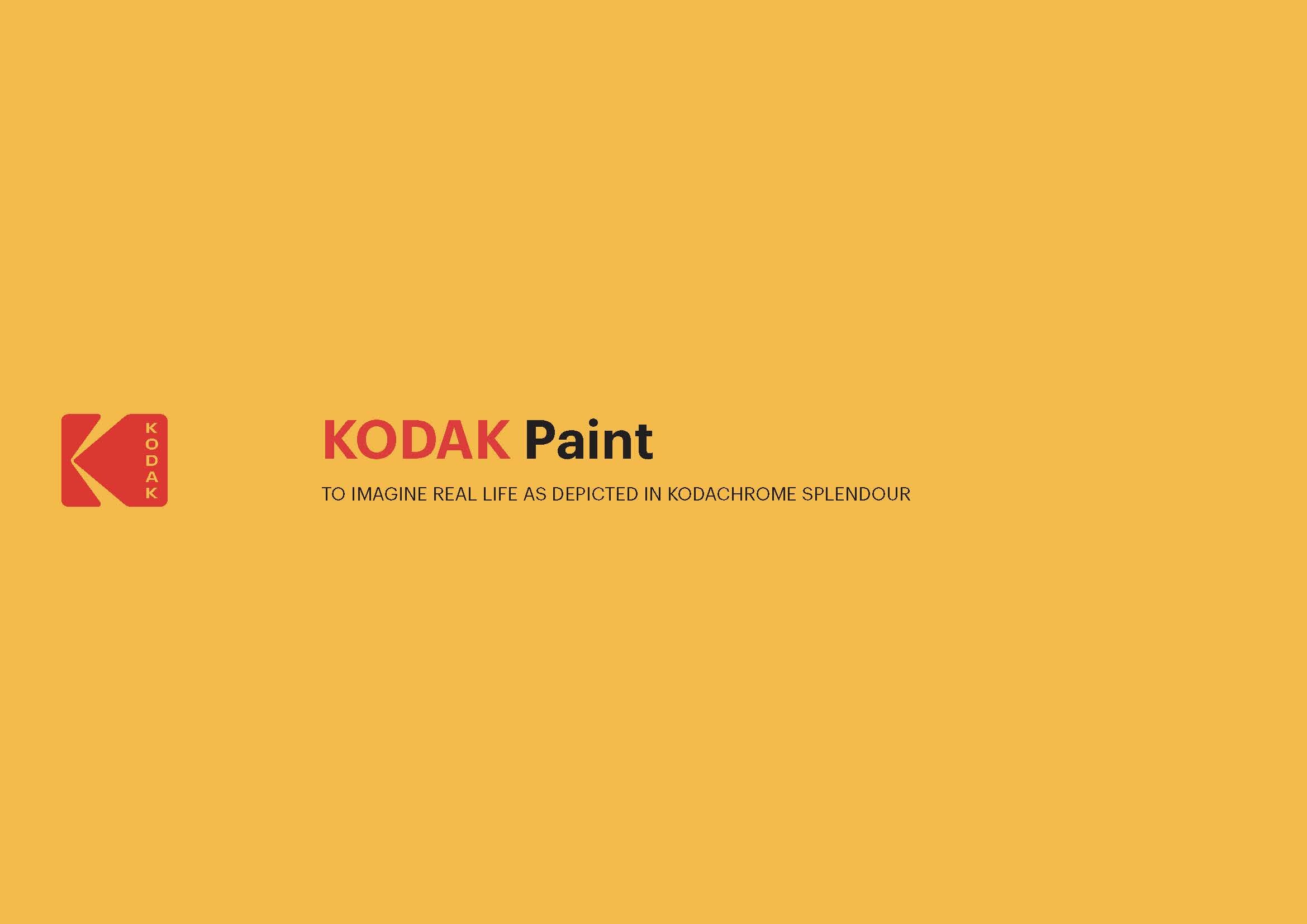 KODAK Paint POV 23.1.18_Page_01.jpg