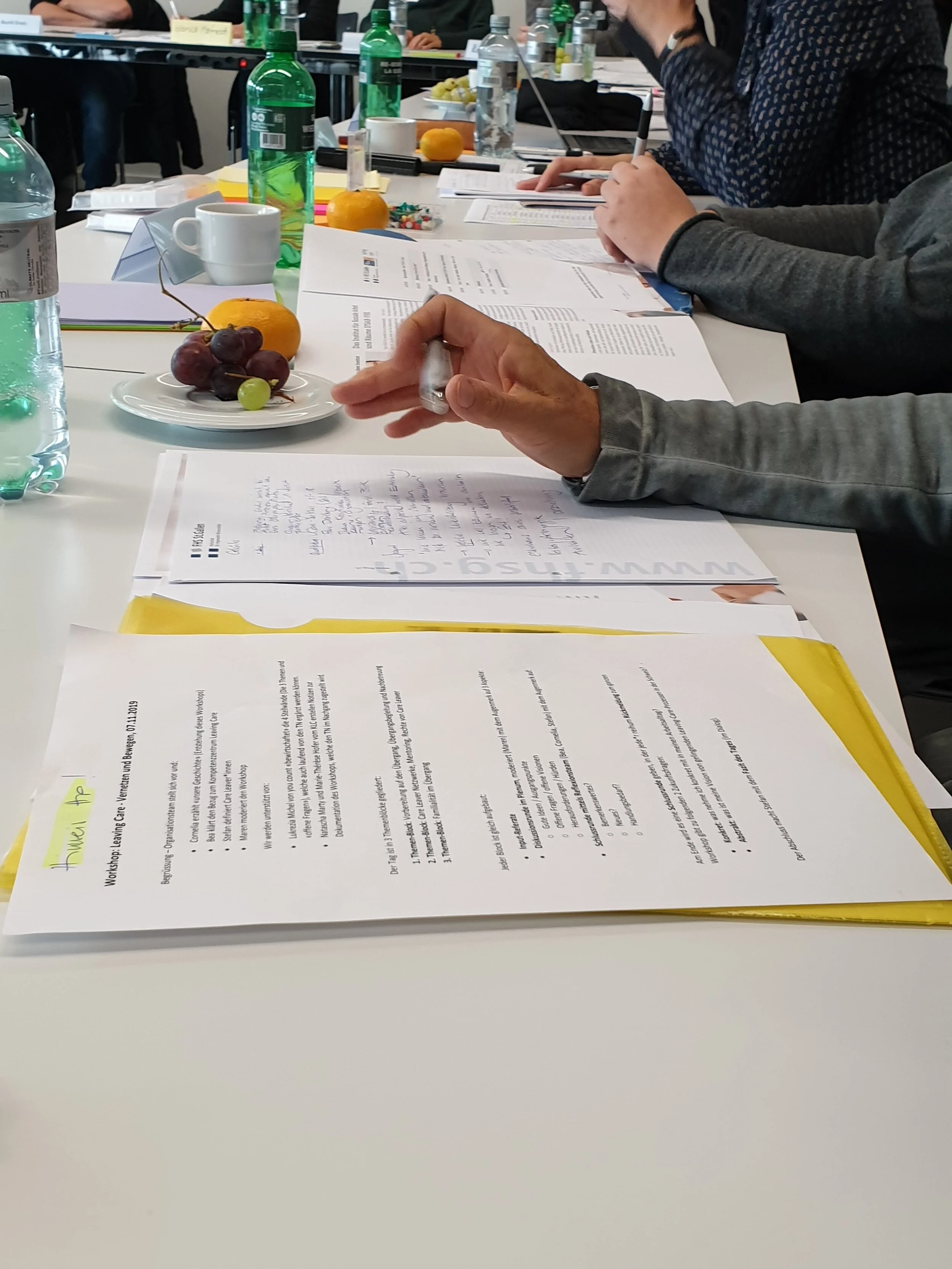 Workshop “Leaving Care - vernetzen und bewegen”