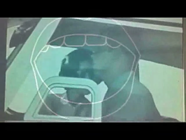 dh003still.jpg