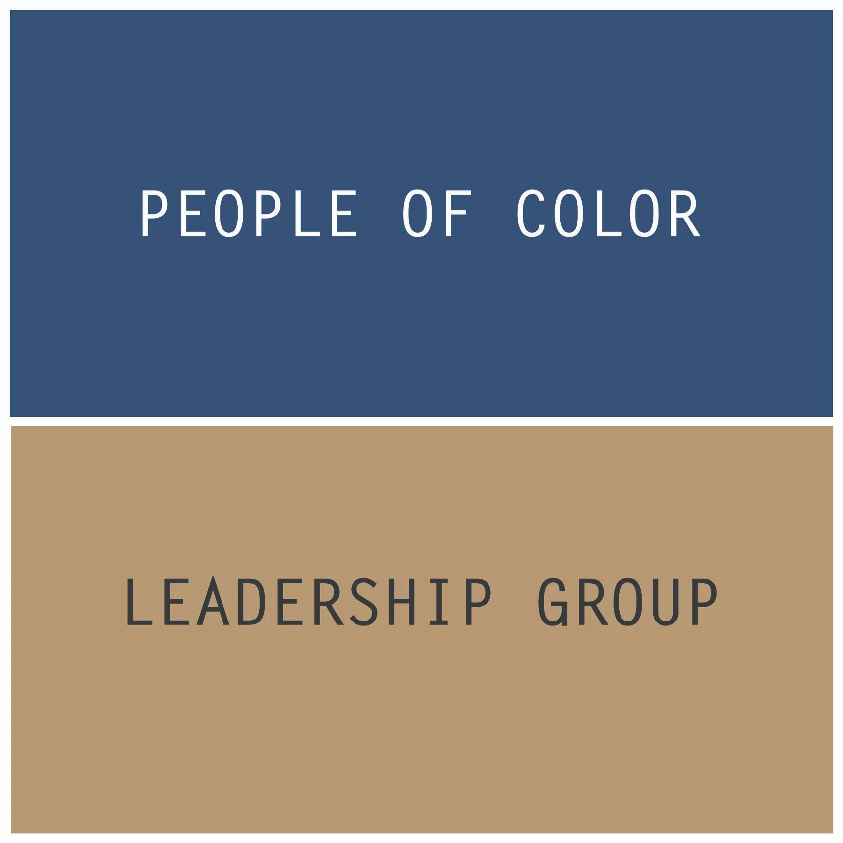 LeadershipGroups2.jpg