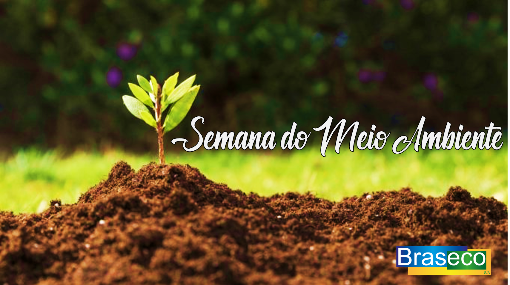 Semana do meio ambiente