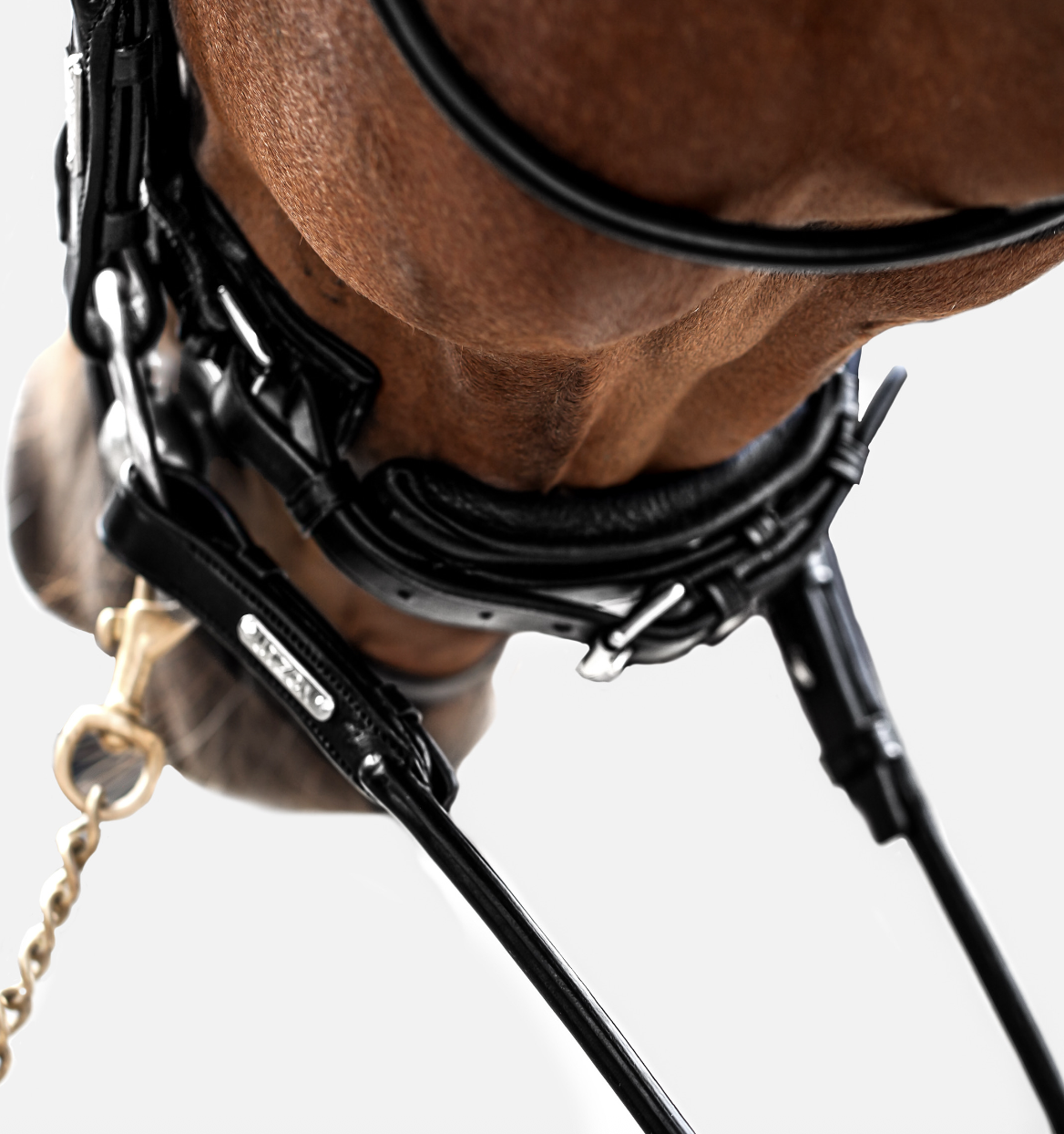 glitter bridle.png