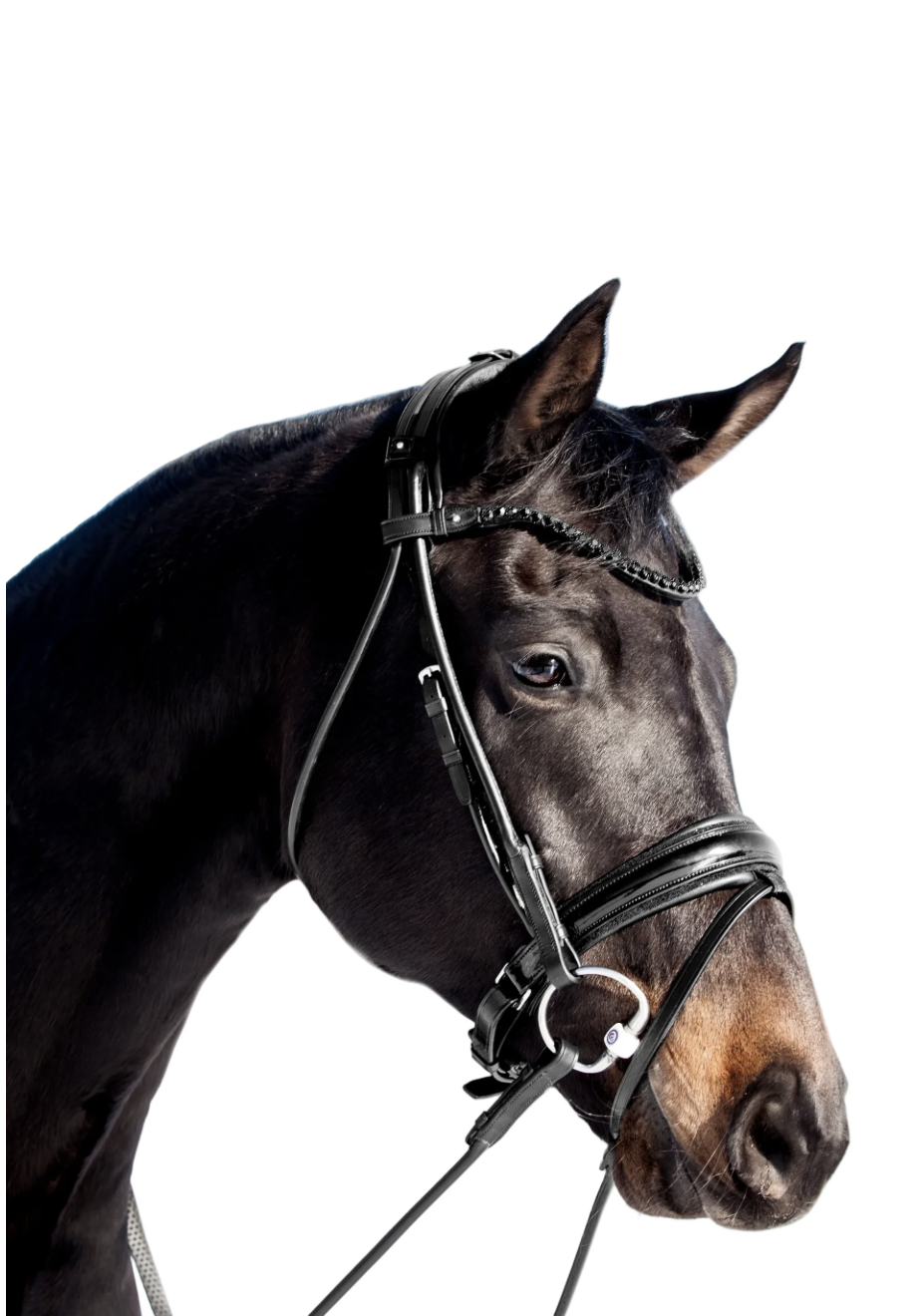 Miami Bridle, Black crystals