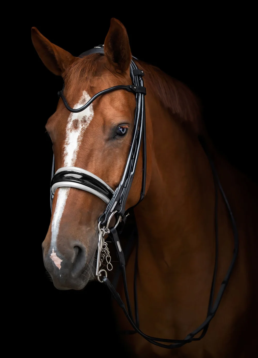 Utzon Equestrian