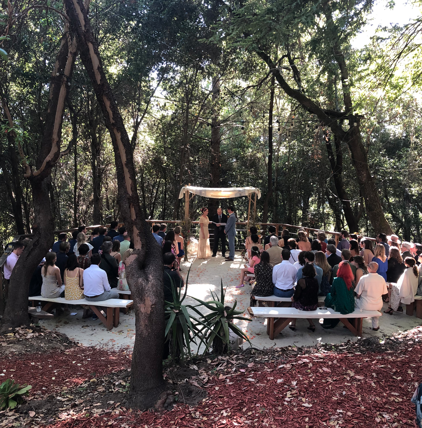 Wedding Ceremony Mountains.png