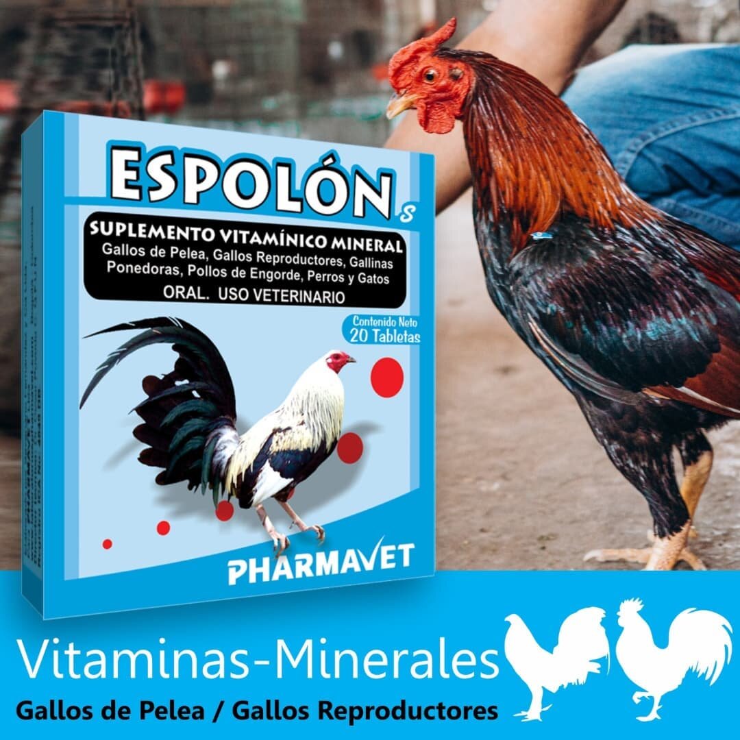 🇨🇴 ESPOL&Oacute;N.🐓
SUPLEMENTO VITAM&Iacute;NICO MINERAL

Multivitam&iacute;nico y Mineral para Gallos de Pelea el cual: 
✔️ Mejora la piel y la pluma del animal. 
✔️ Favorece la recuperaci&oacute;n de las heridas.
✔️Fortalece el pico y los espolo