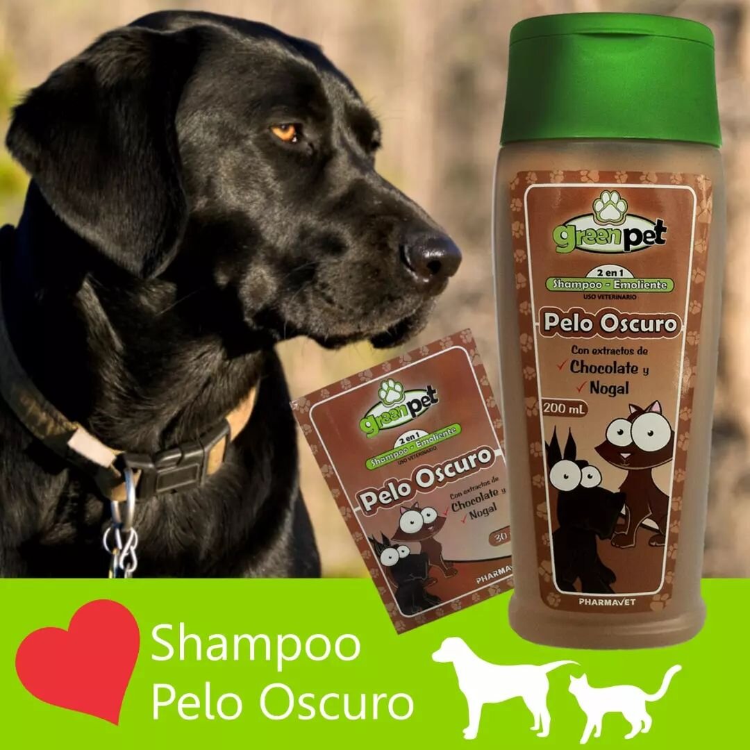 Shampoo PELO OSCURO 🇨🇴
Para 🐶 y 🐱

🧴Shampoo-Emoliente con Extractos de Chocolate y Nogal que tonifican, mantienen e iluminan el pelo oscuro. Contiene extractos naturales que fortalecen y realzan los tonos oscuros del pelo. El extracto de nogal s