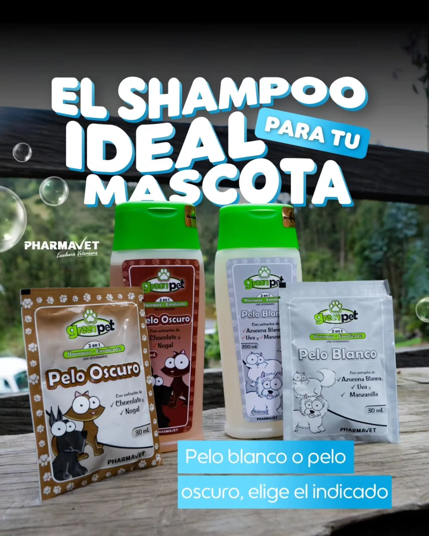 El shampoo ideal para resaltar la belleza natural de tu mascota. Ya sea de pelo blanco o pelo oscuro con Green Pet tenemos fórmulas diseñadas para cuidar y proteger su pelaje 🐶🐱💚
🌼 Pelo Blanco: con manzanilla y azucena blanca, que