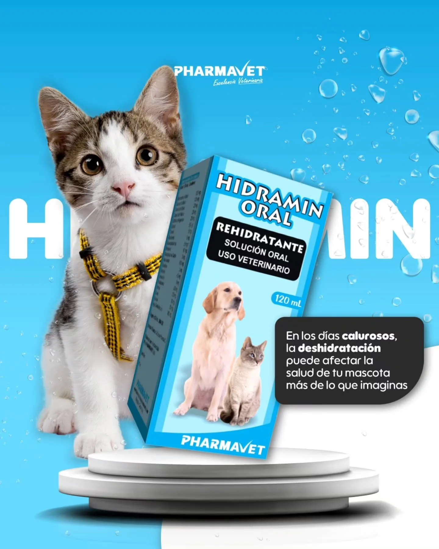Mantén a tu mejor amigo feliz e hidratado 💦
En los días calurosos, tu mascota pierde líquidos más rápido de lo que imaginas. 🌞Hidramin Oral es tu aliado ideal para prevenir la deshidratación y favorecer su