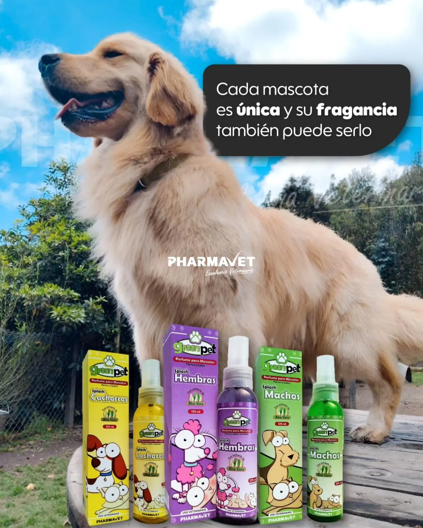 Los perfumes de la línea Green Pet no solo aportan frescura, sino que también cuidan su piel y pelaje mientras dejan un aroma único. 💚
💛 Cachorros
🌸 Hembras
🌿 Machos
👉 Encuentra el perfume perfecto con nuestros distribuido