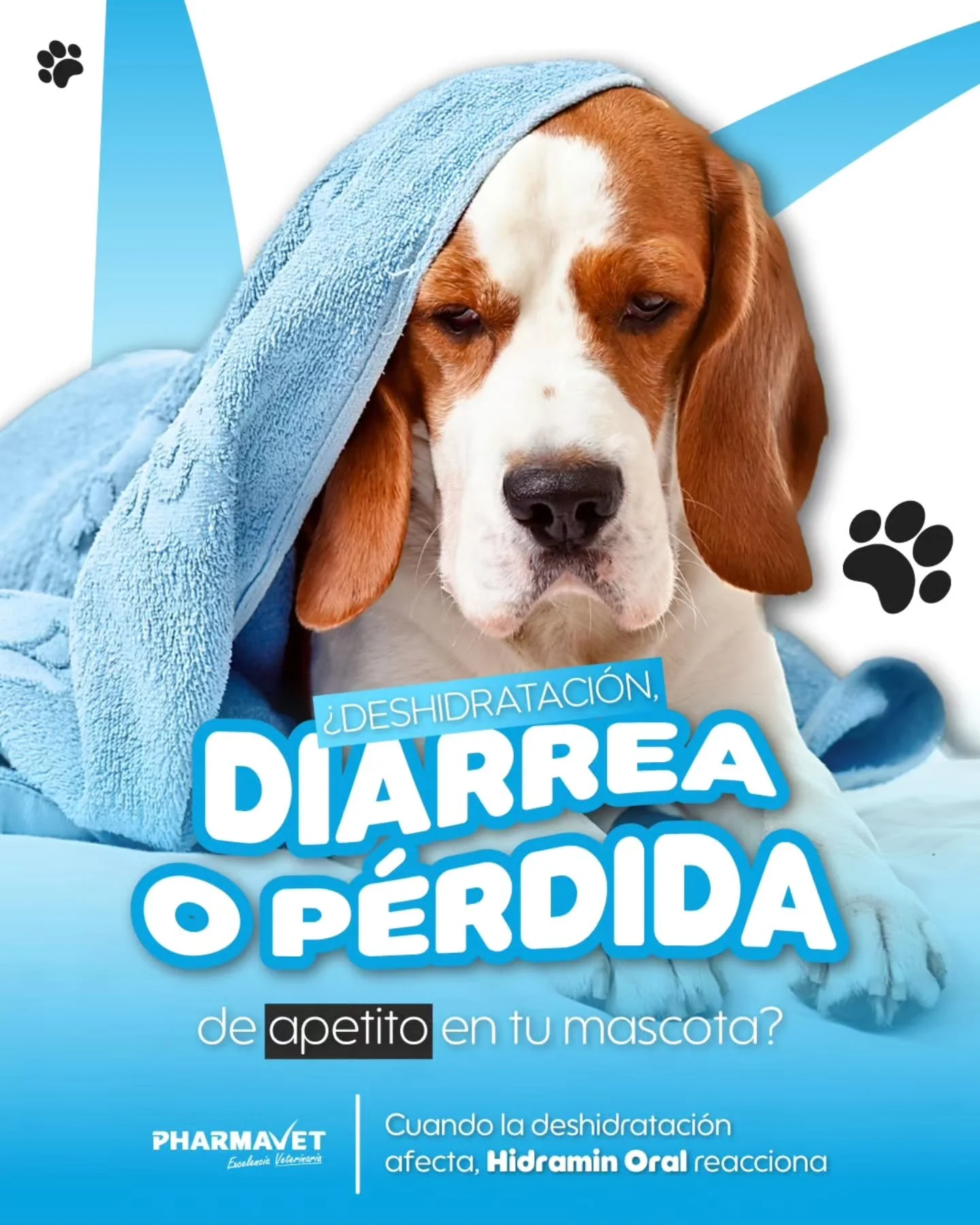 💧 La deshidrataci&oacute;n puede ser m&aacute;s peligrosa de lo que imaginas.

Diarrea, par&aacute;sitos, desnutrici&oacute;n, calor o recuperaci&oacute;n postoperatoria pueden dejar a tu mascota sin energ&iacute;a ni equilibrio.

Con Hidramin Oral,