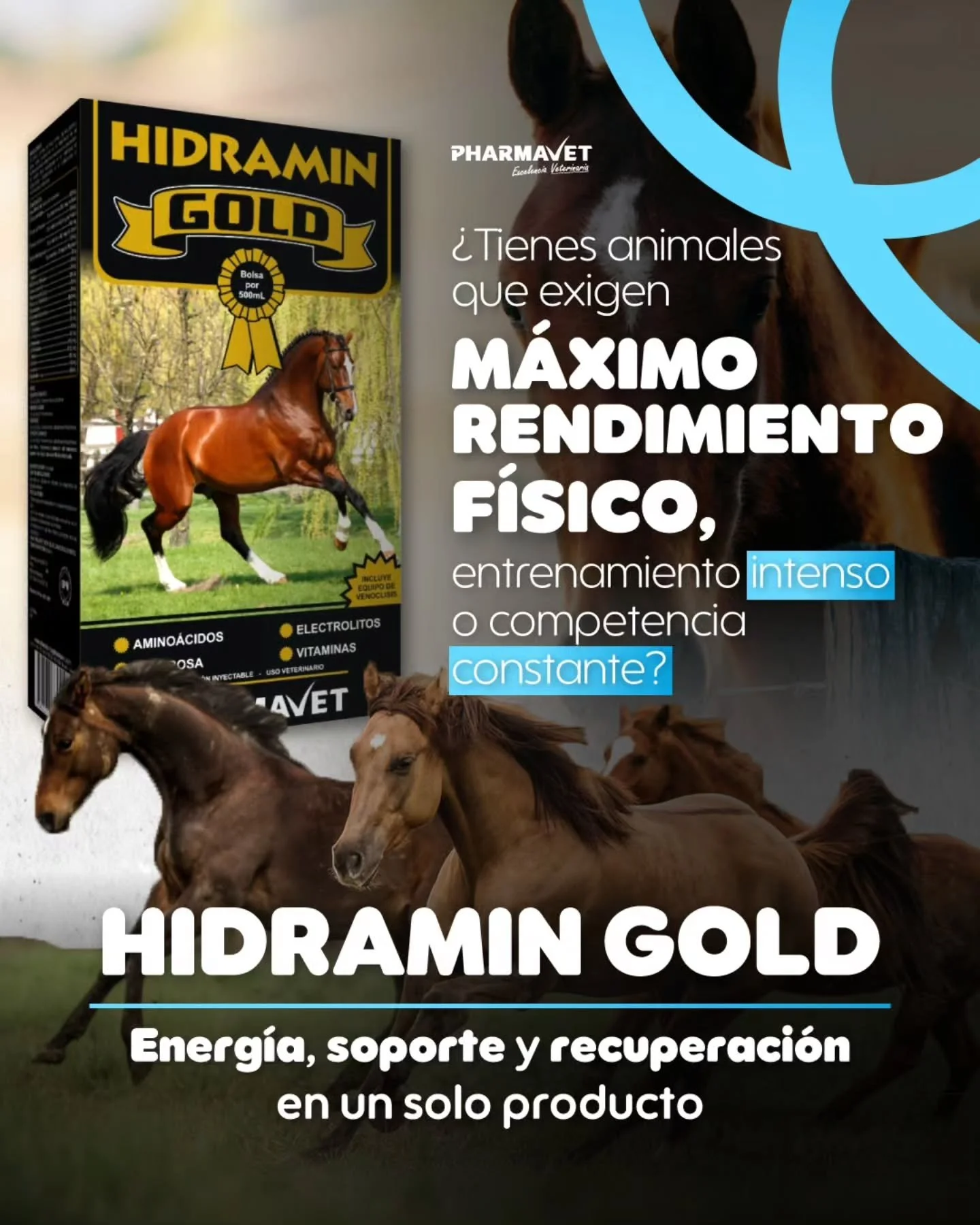 HIDRAMIN GOLD acompa&ntilde;a a tus animales en los momentos de mayor exigencia, ayudando a mantener el equilibrio f&iacute;sico antes, durante y despu&eacute;s del esfuerzo.

Recomendado para rutinas demandantes, temporadas competitivas y situacione