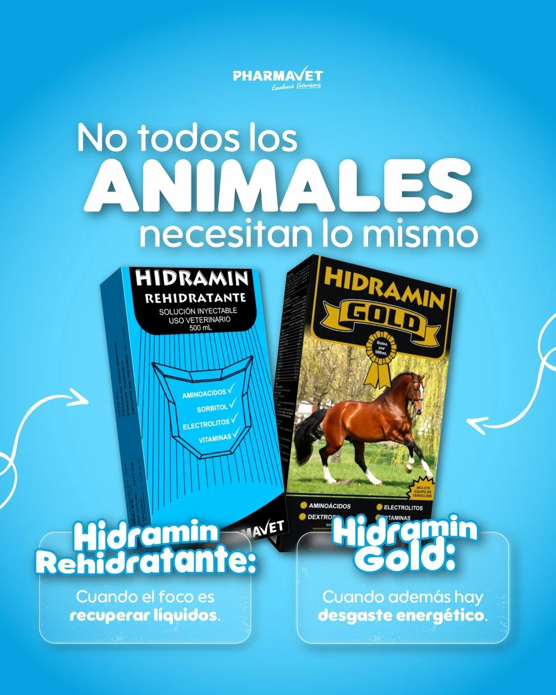 💧 Hidramin Rehidratante
Cuando hay p&eacute;rdida de l&iacute;quidos y electrolitos
&rarr; apoyo en deshidrataci&oacute;n y recuperaci&oacute;n

⚡ Hidramin Gold
Cuando adem&aacute;s del l&iacute;quido hay desgaste f&iacute;sico &rarr; hidrataci&oacu