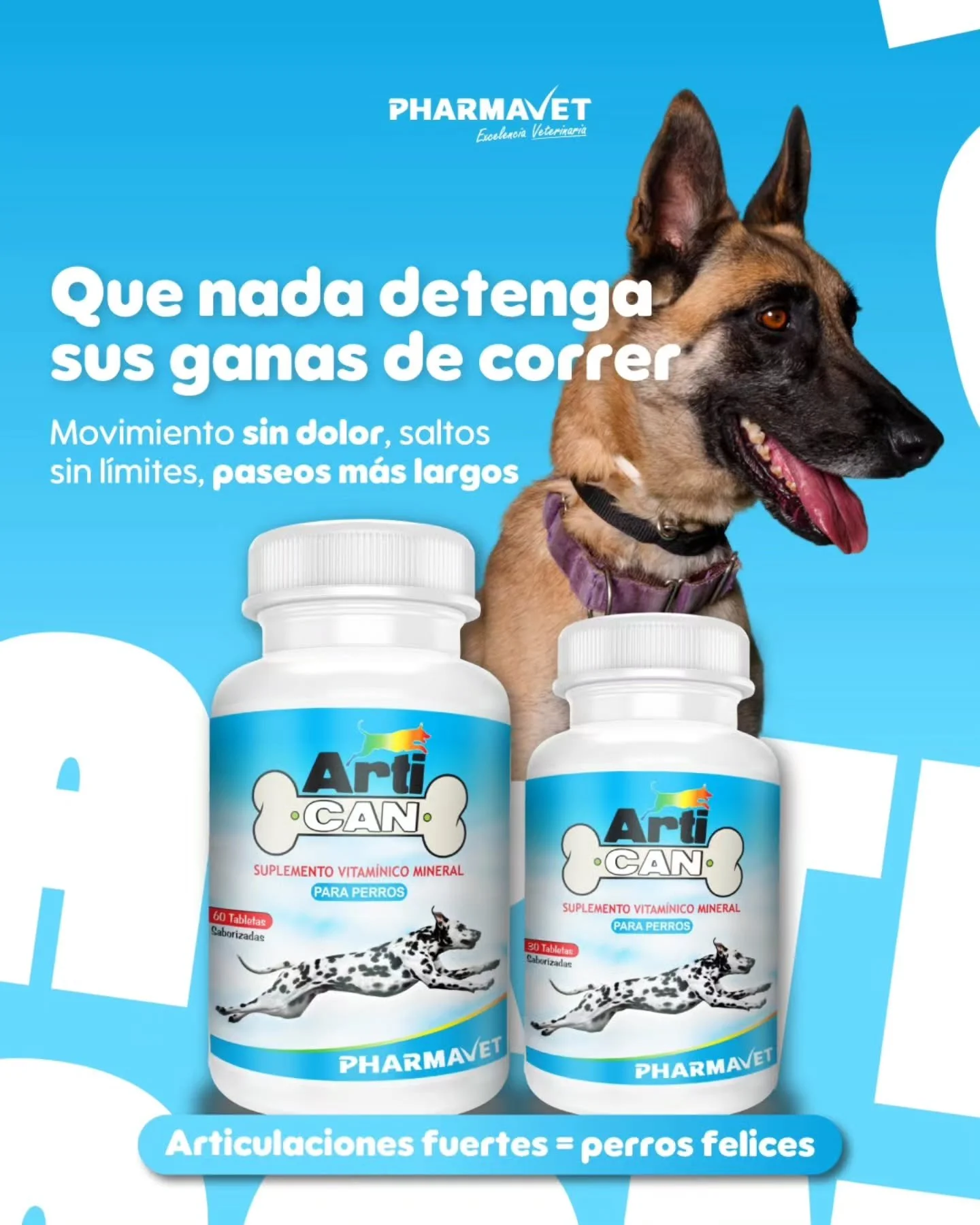Con el paso del tiempo, el desgaste articular puede empezar a notarse: menos energ&iacute;a, dificultad para levantarse, rigidez despu&eacute;s de descansar y aunque es com&uacute;n, no significa que sea normal ignorarlo.🤚🏻🐶

Las articulaciones ne