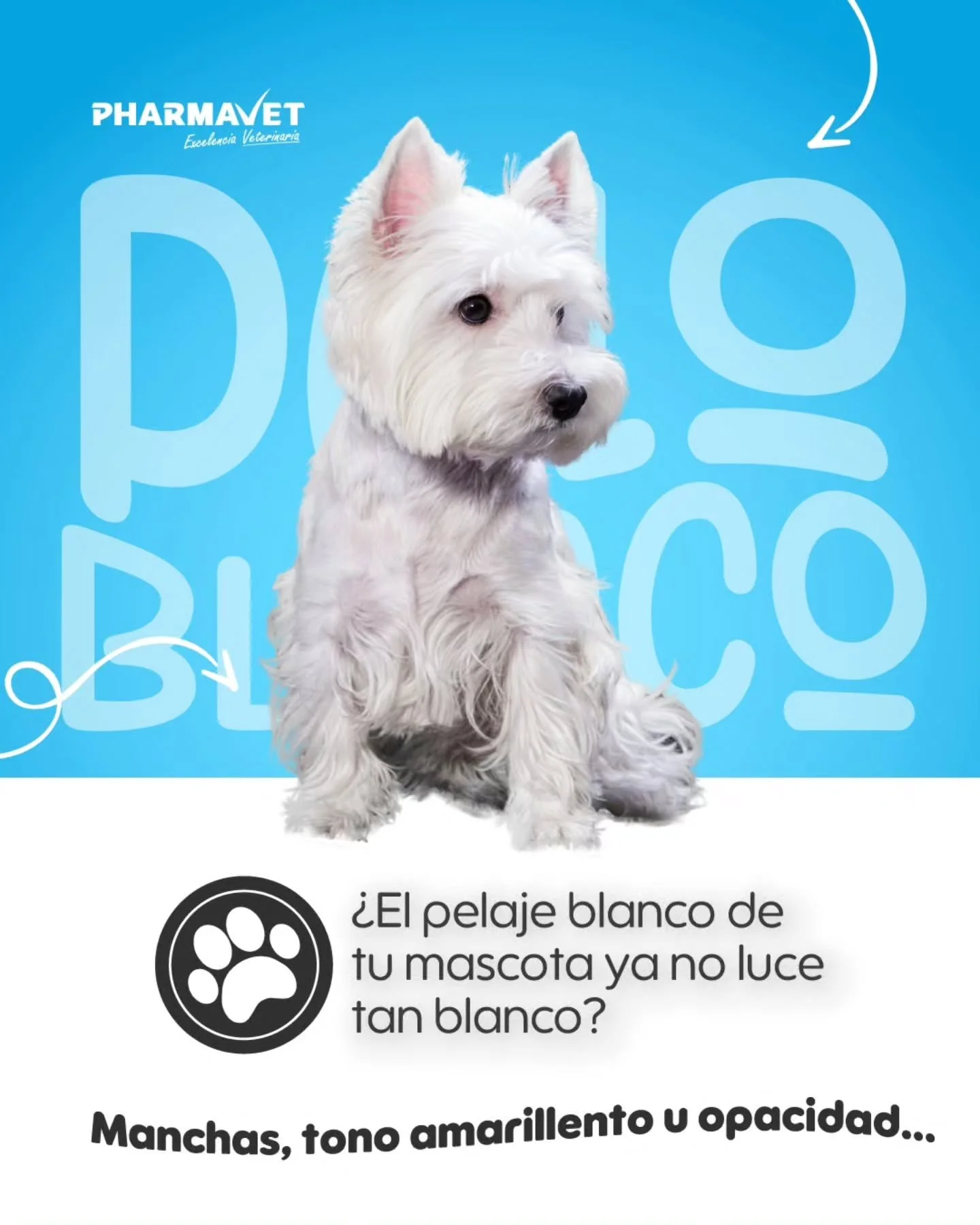 El pelaje blanco necesita m&aacute;s que limpieza, necesita realce ✨

El shampoo GreenPet para pelo blanco est&aacute; formulado con extractos naturales que ayudan a desmanchar, aclarar y devolver el brillo al pelaje blanco de perros y gatos.

🛁 Ide