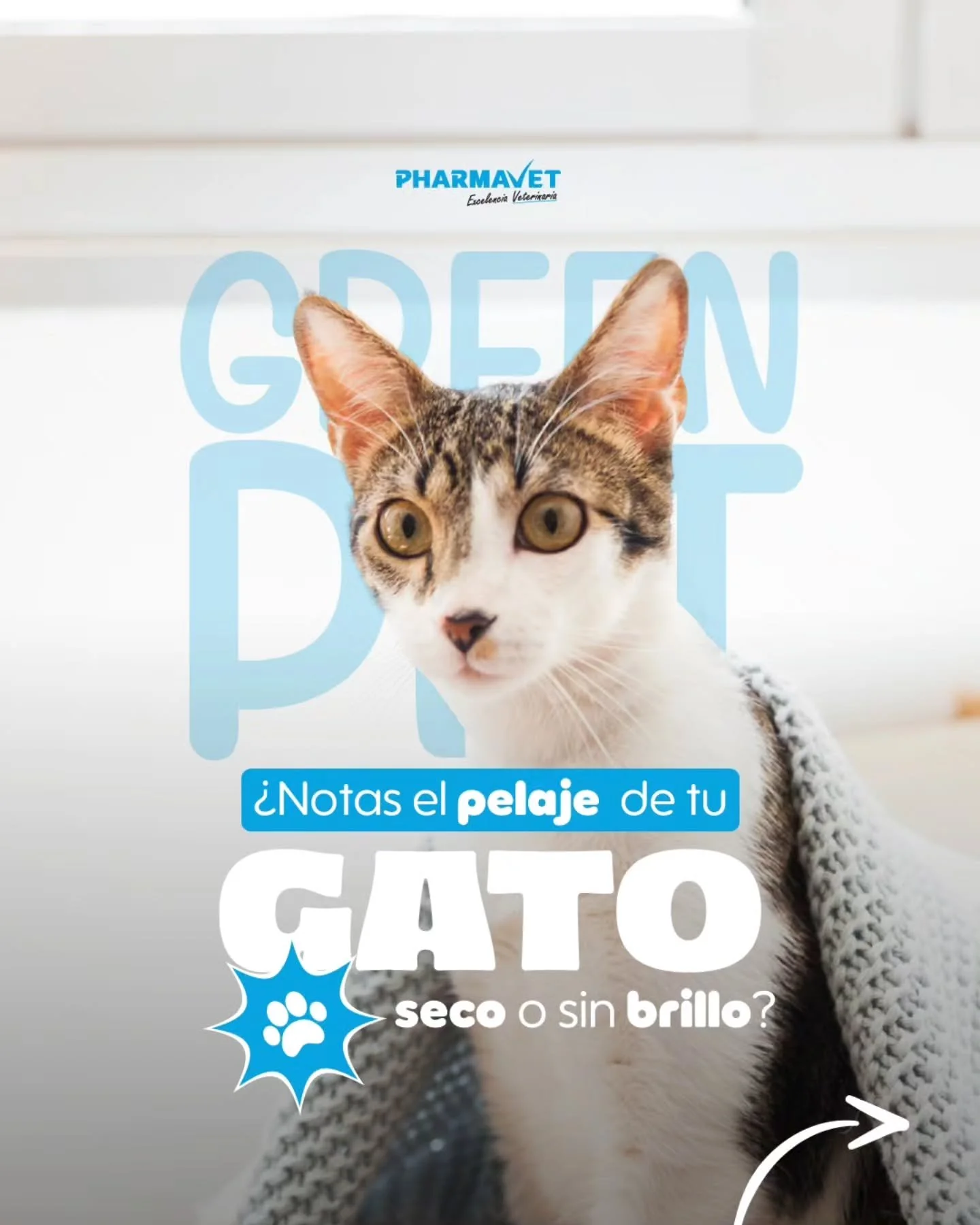 Cuidado especializado para la piel felina.🐱🧴 

El Shampoo para gatos Green Pet est&aacute; formulado para evitar la caida del pelo, ideal para la limpieza y mantenimiento del pelaje.

✅Acci&oacute;n refrescante, tonificante y regenerativa

Indicado