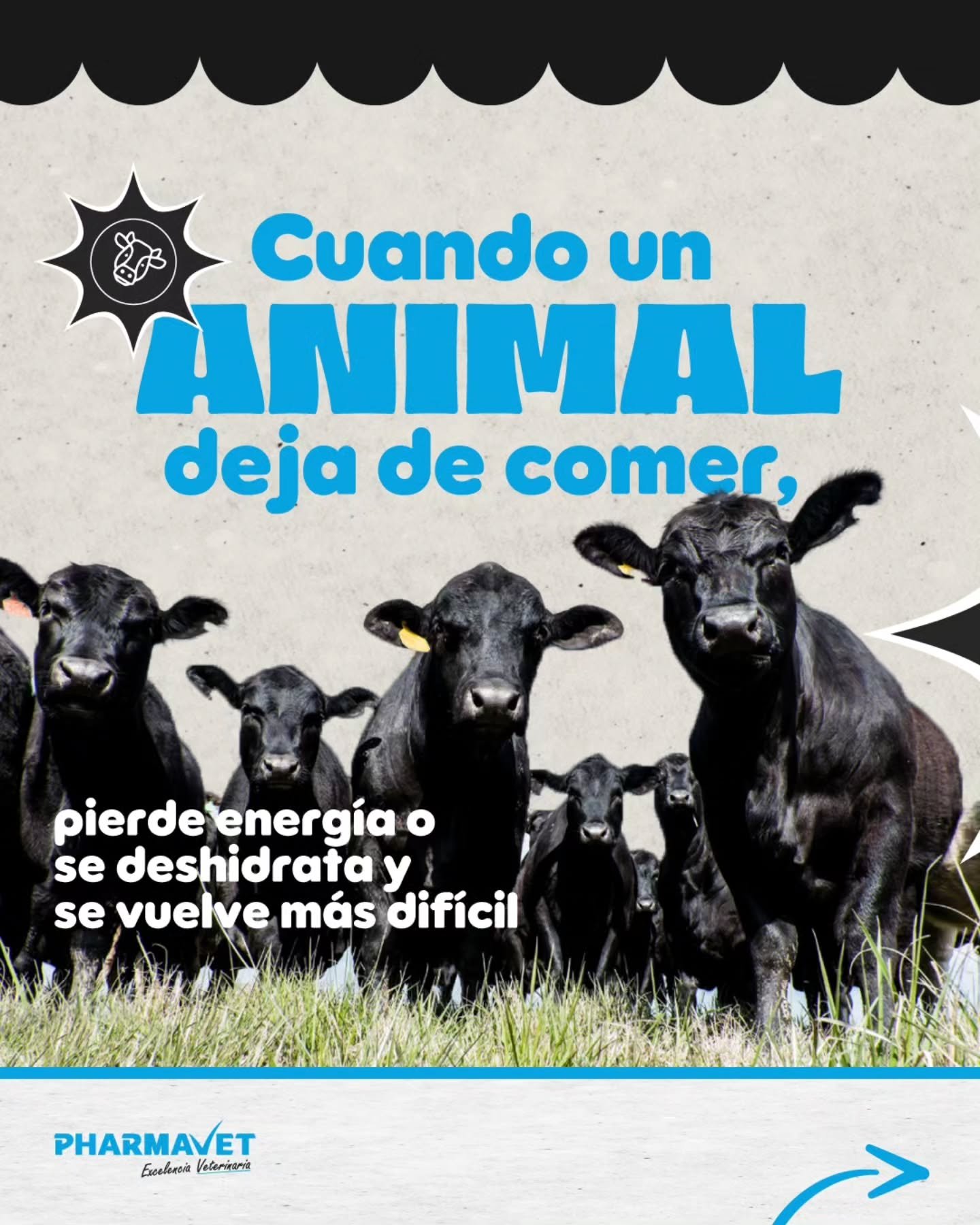 A veces el problema no es solo la enfermedad, es todo lo que viene despu&eacute;s 👉deshidrataci&oacute;n, debilidad y p&eacute;rdida de apetito 🐄💧
Hidramin Rehidratante ayuda a brindar soporte en momentos clave gracias a su combinaci&oacute;n de a