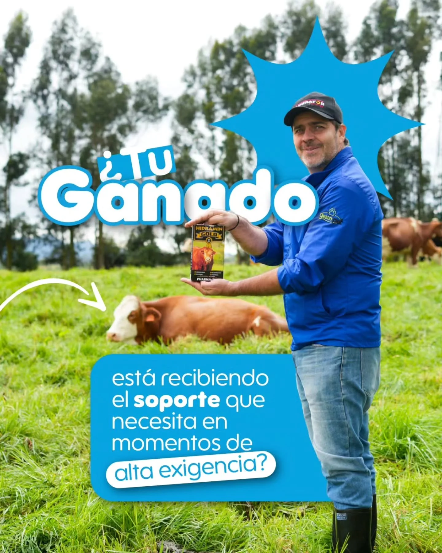 En el campo, el rendimiento empieza con el bienestar animal.🐄⚡ 
HIDRAMIN GOLD es el apoyo ideal para ayudar a tu ganado en etapas de estr&eacute;s, recuperaci&oacute;n y alta exigencia, aportando vitalidad y energ&iacute;a para mantener animales m&a