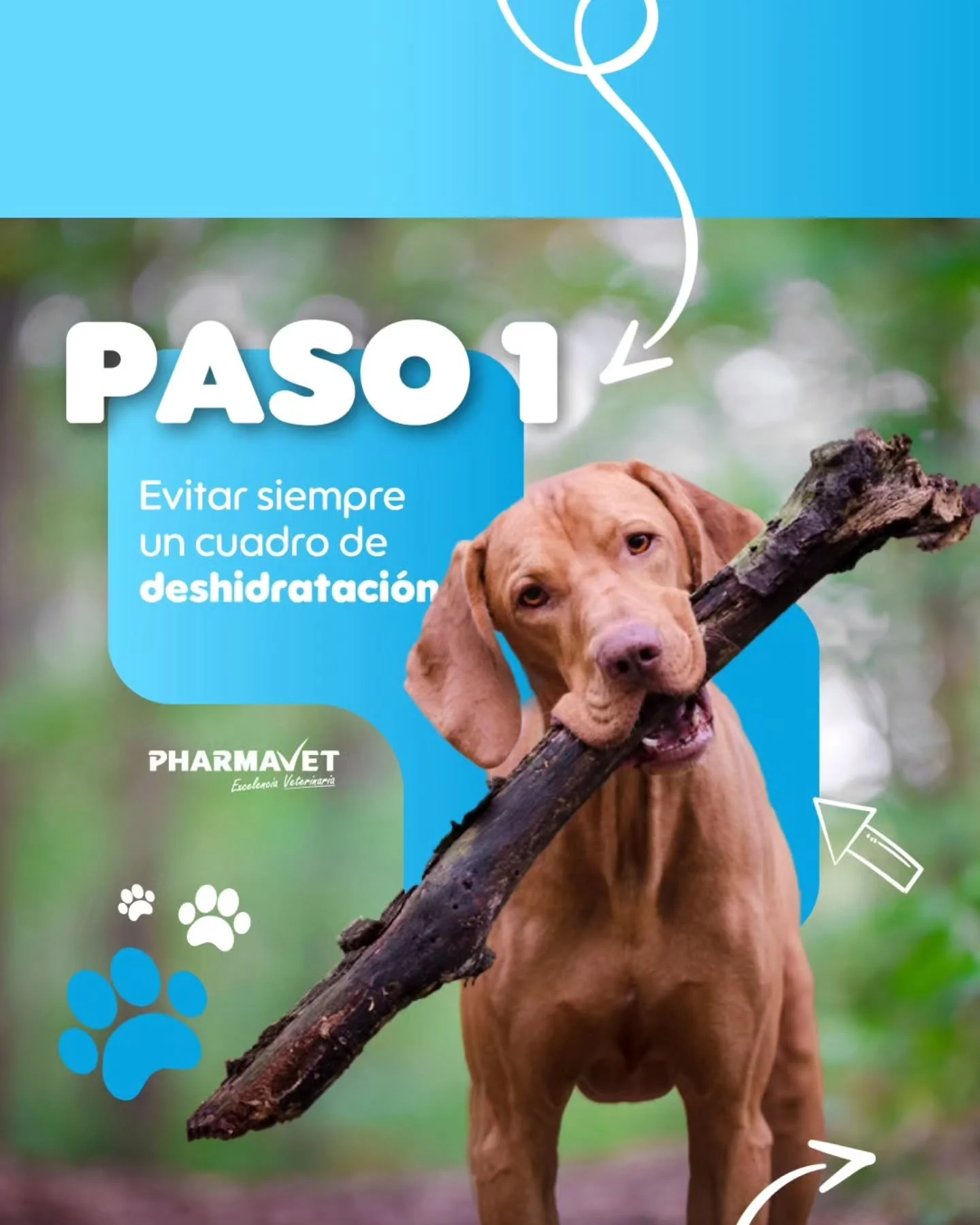 Un excelente plan💧

Hidramin Oral ayuda a apoyar la reposici&oacute;n de l&iacute;quidos y electrolitos, siempre bajo recomendaci&oacute;n del m&eacute;dico veterinario.🐮

Para conocer m&aacute;s informaci&oacute;n visita nuestra web. 👉www.pharmav