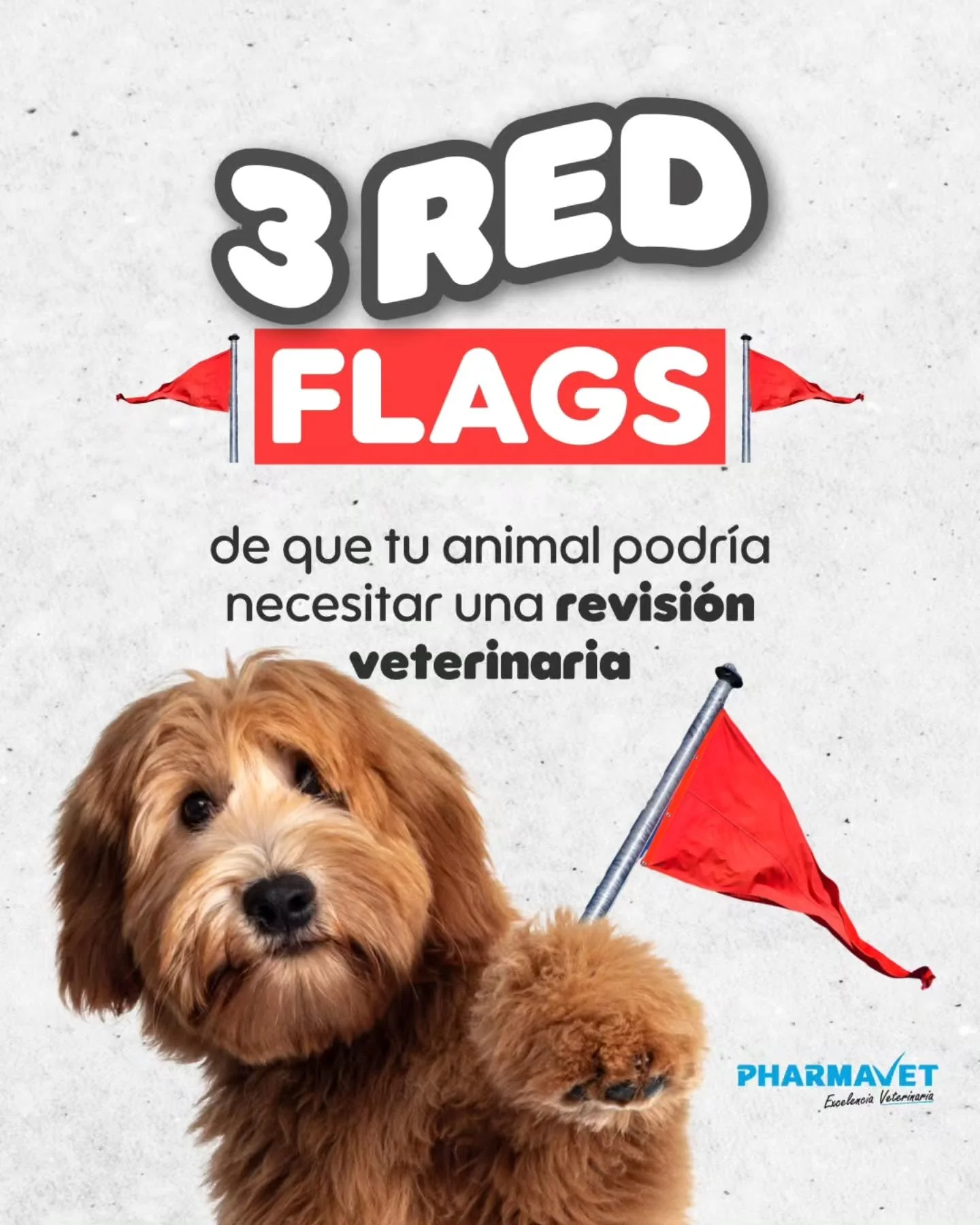 Detectar estas se&ntilde;ales a tiempo puede marcar la diferencia.😎🚩
Desarrollamos soluciones que apoyan el bienestar y la salud animal, acompa&ntilde;ando siempre la labor del m&eacute;dico veterinario.
👉 Conoce nuestro portafolio de productos en
