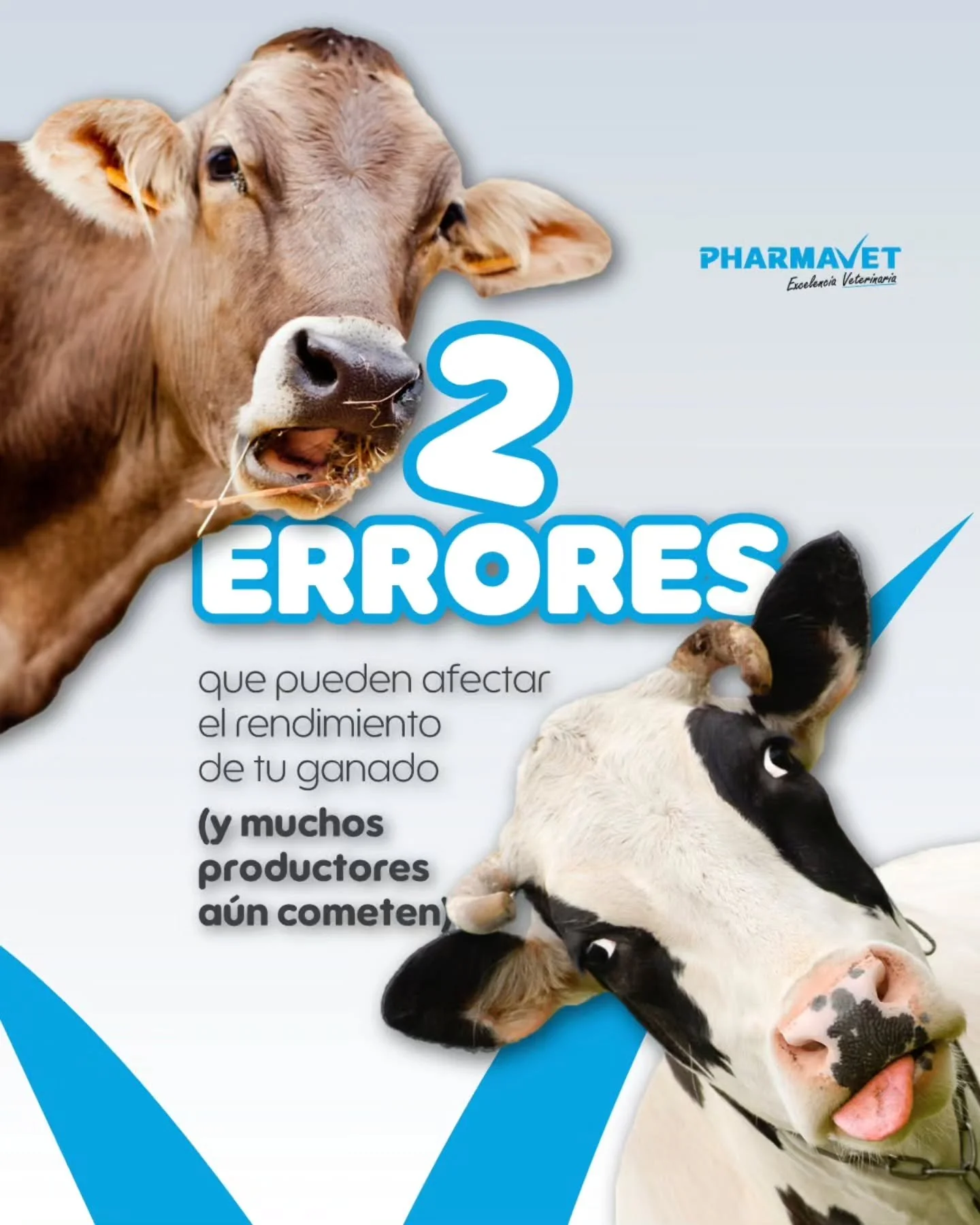 Momentos como el transporte, los cambios de clima o las etapas de alta exigencia requieren un manejo adecuado para apoyar su rendimiento y recuperaci&oacute;n.
🐄Hidramin Gold cuenta con una concentraci&oacute;n y combinaci&oacute;n ideal de amino&aa
