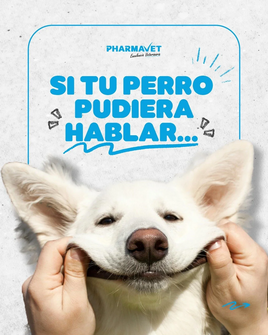&iquest;Notas cambios en el pelo o la piel de tu mascota? 👀

No siempre se trata solo de lo que ves por fuera. La alimentaci&oacute;n y el aporte de nutrientes tambi&eacute;n hacen parte del cuidado diario.

🐾 NutriPel complementa la nutrici&oacute